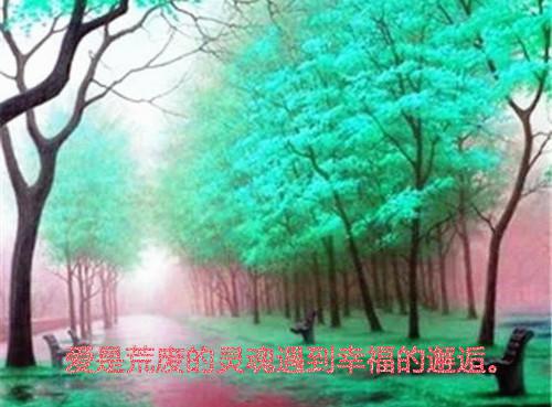 裴寂陈麦免费小说 裴寂陈麦全文阅读目录