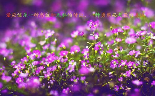 欧阳倩裴承鄞月儿结局是什么 欧阳倩裴承鄞月儿免费阅读全文