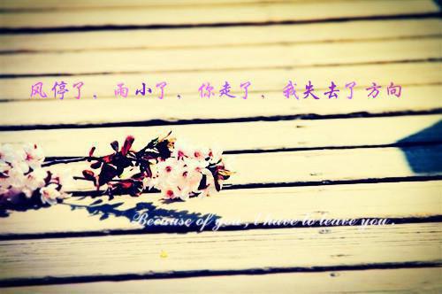 被网红嫂子当成小三后，我哥疯了(不化雪人)小说最新章节