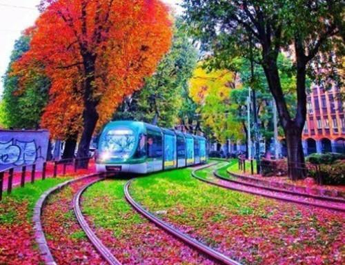 岑北壑郁妩璃小说（岑总，你昨天说过的话还算数吗？）全文免费阅读无弹窗大结局_岑总，你昨天说过的话还算数吗？小说最新章节列表