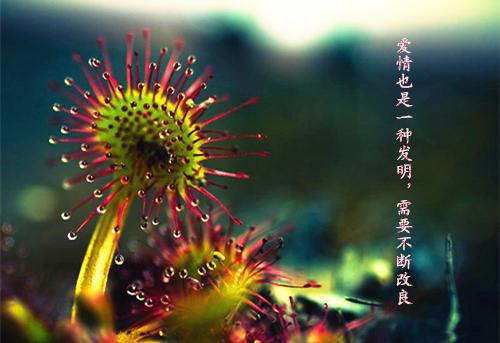 乔安安顾星无广告阅读 和闺蜜一起嫁给植物人双胞胎后小说APP内阅读