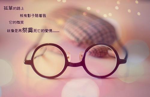 陆绍姜清璎（姜清璎陆绍）全文免费阅读大结局_陆绍姜清璎（姜清璎陆绍）免费在线阅读