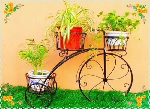 《苏羡》满级大佬完爆假千金（大结局小说全集完整版）满级大佬完爆假千金小说_苏羡全文阅读