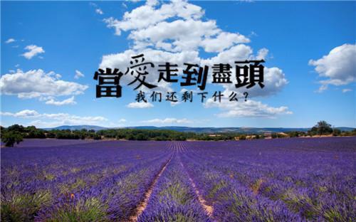 顾凉琛陈蓉小说全文 顾凉琛陈蓉小说免费阅读大结局