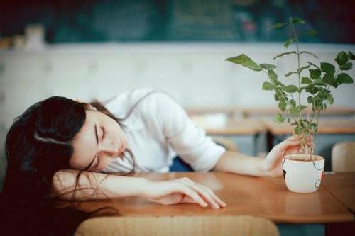 李梦瑶楚渊白免费小说 李梦瑶楚渊白全文完整版阅读