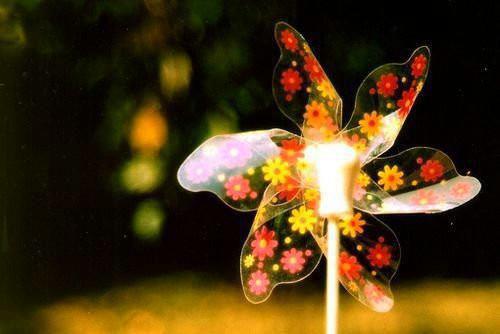 周清谢沉陆栀小说免费试读 周清谢沉陆栀