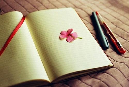 主角梁岁岁叶慕尘小说免费阅读最新章节