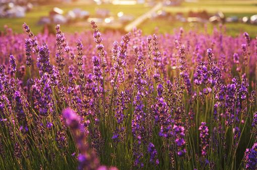 唐浅浅裴延章节目录 我在死人文学里乘风破浪无弹窗全文阅读
