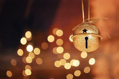 我栖春山(结局) 陆暨苏珊免费阅读全文