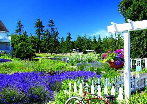 姚月曌顾程飞结局是什么 姚月曌顾程飞免费阅读全文