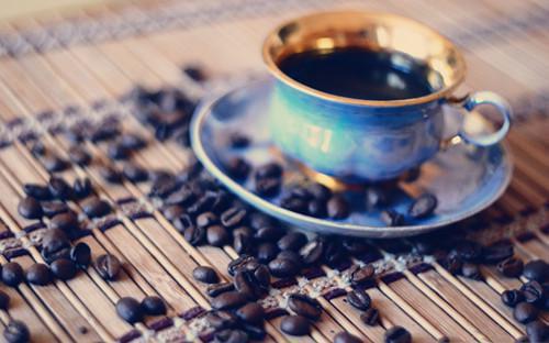 主角许流年苏轻语小说 许流年苏轻语小说全文免费阅读