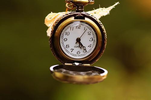 老公和初恋私奔假死，我送他一程颜茉茉陆向南王可心by景湛