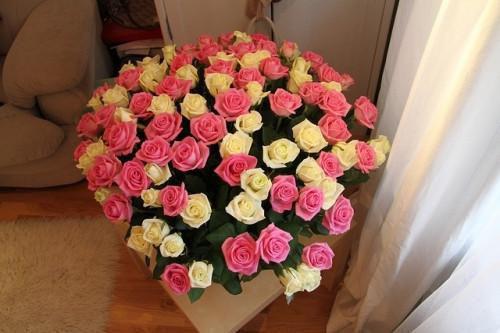 顾云浩白蕊心免费阅读无弹窗 顾云浩白蕊心最新章节