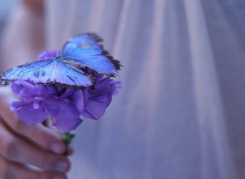 沈枝晚商聿白小说在线阅读 沈枝晚商聿白最新章节目录