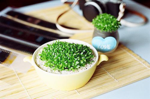 沈怀青柳娇娇全文免费 沈怀青柳娇娇在线阅读