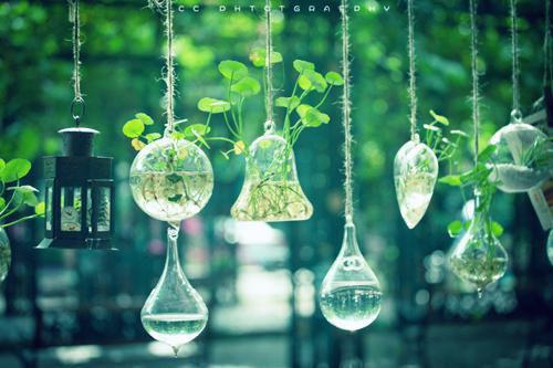 王辰陈果全文免费大结局 王辰陈果小说在线阅读