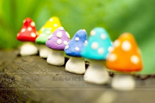 叶苜苜饥荒年，我囤货娇养了古代大将军在线小说-饥荒年，我囤货娇养了古代大将军全文无删减版阅读