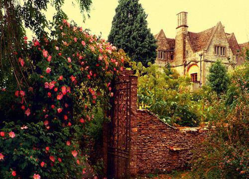 隐蔽的月光小说全文 隐蔽的月光小说免费阅读大结局