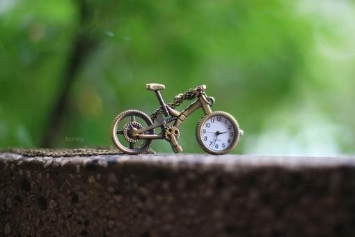 白花花白琅羽中涵最新篇章 炮灰觉醒后全本免费阅读