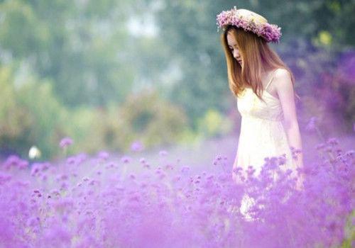 主角名是夏晚棠顾司瑾全文免费阅读正版