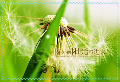 叶云舟沈微是哪部小说的主角 叶云舟沈微全文阅读