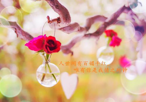 八零军婚：肥妻靠空间走上巅峰小说完整版 凌瑶顾庆安在线阅读