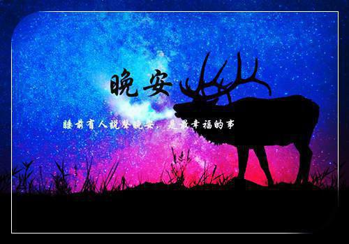 导游不卖货小说免费看 林秀和最新章节阅读