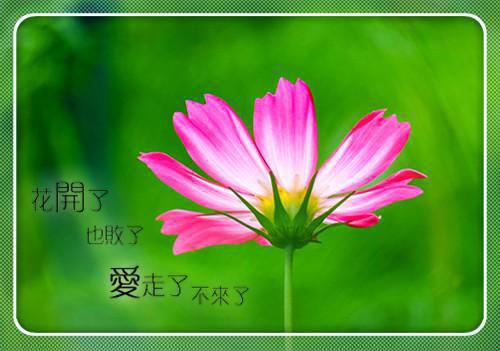 唐浅浅裴延小说在线阅读 唐浅浅裴延最新章节目录