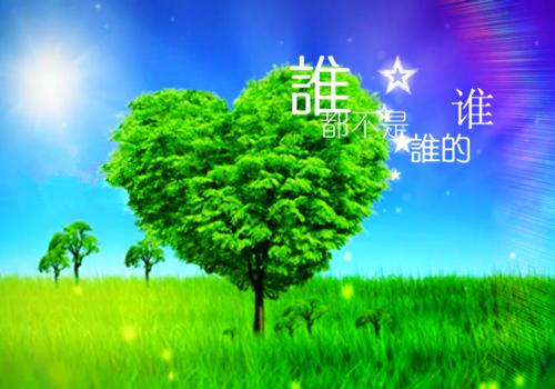 沈舟顾然文彬小说 沈舟顾然文彬免费章节阅读