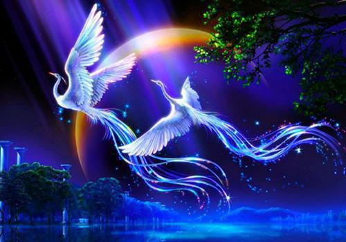 黎青执傅成凛小说叫什么 黎青执傅成凛小说全文免费阅读