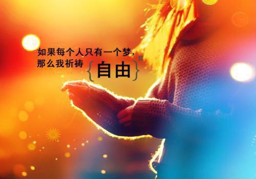 宋岩何招娣路野小说在线阅读 宋岩何招娣路野最新章节目录