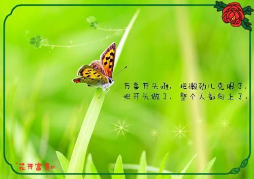 六十拼儿子王胜男未删节免费阅读