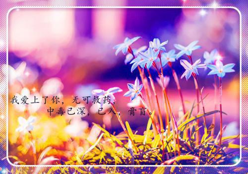 《重生后我把贵妃当猪宰》章节目录by佚名小说全文阅读