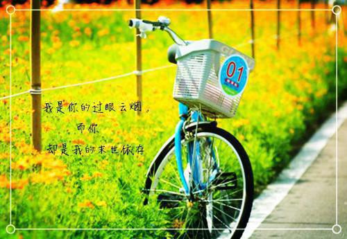 君澜殇陆玉颜小说全文免费阅读（君澜殇陆玉颜）全文免费阅读无弹窗大结局_(君澜殇陆玉颜)君澜殇陆玉颜小说免费阅读无弹窗最新章节列表（君澜殇陆玉颜）