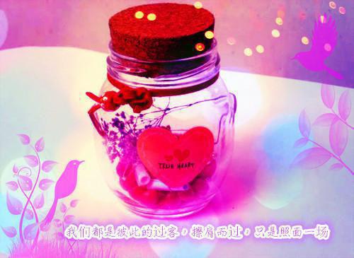 (抖音小说)顾今安周简行沈梦婷小说全文阅读免费