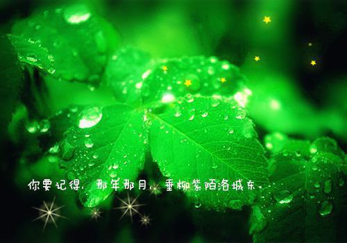 嫂子想提前剖孩子在线免费阅读 小琴无删减小说