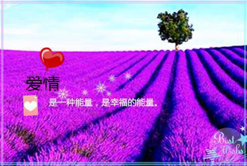 许鄢周时纳沈芷小说 许鄢周时纳沈芷全文免费阅读