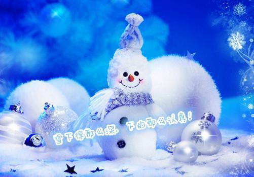 沈念徐从言小说全文免费阅读 沈念徐从言最新章节