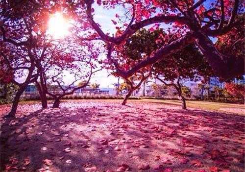 爽文畅读 我用花瓶通古今沈依依卫煊胤推荐完本_已完结爽文畅读 我用花瓶通古今（沈依依卫煊胤）