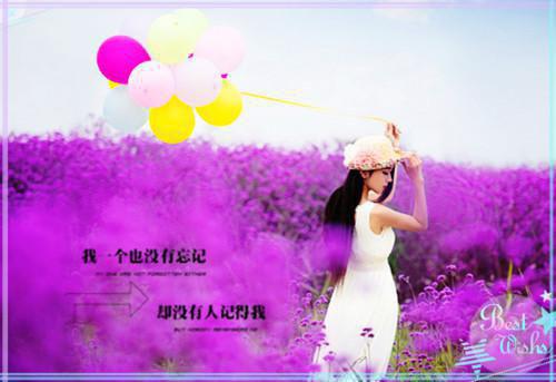 好看的陆知之谢斯南小说_陆知之谢斯南最新章节阅读