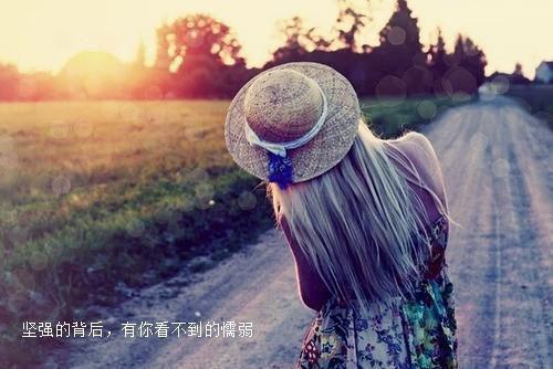 向晚余可沁陆铭臣最后结局 向晚余可沁陆铭臣完结版免费阅读