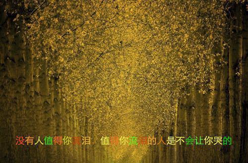 宁诗悦徐清延第1章 宁诗悦徐清延小说免费阅读