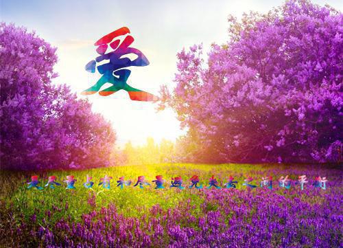 盛听澜盛辞谢雪枝小说他什么都好，只是偏偏不喜欢我而已全文免费阅读