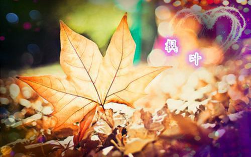 重生80年代当大亨结局在线阅读 张平周彤未删节阅读