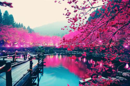 苏白梨齐慎之小说全文阅读 苏白梨齐慎之第7章