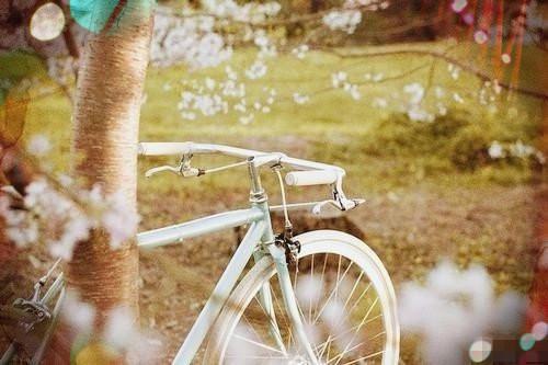 祝颜宜程时晔小说最新章节 祝颜宜程时晔免费阅读