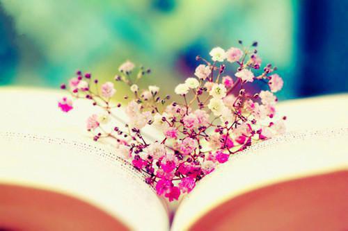 牛郎织女大结局免费阅读 牛郎织女全文小说