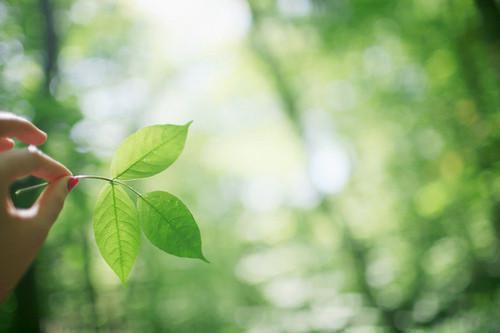 高月月梦玲全文免费阅读（冷夏换嫁小说）全文免费高月月梦玲读无弹窗大结局_（高月月梦玲全文免费高月月梦玲读无弹窗）冷夏换嫁小说最新章节列表（高月月梦玲）