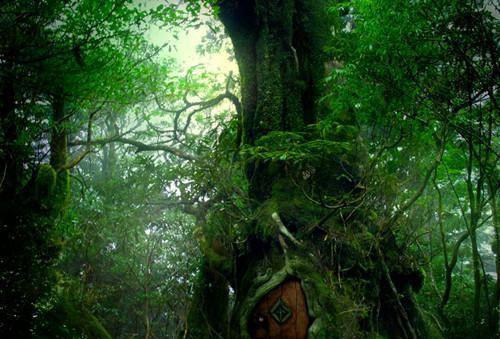 江朝礼虞南枝夏甜小说完整版 免费阅读江朝礼，你失约的海，我一个人看过了