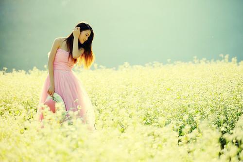 风雨易碎全文免费阅读 顾璟顾时白小说微信内阅读